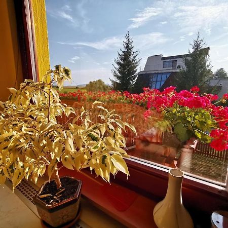 Apartman Adrianka Turčianske Teplice Exteriör bild