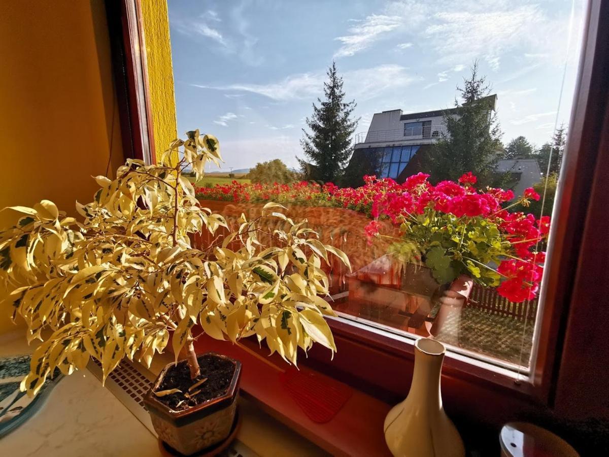 Apartman Adrianka Turčianske Teplice Exteriör bild